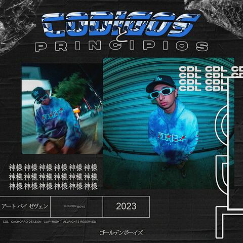 CODIGOS Y PRINCIPIOS