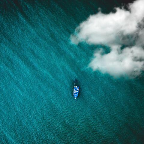 paradise