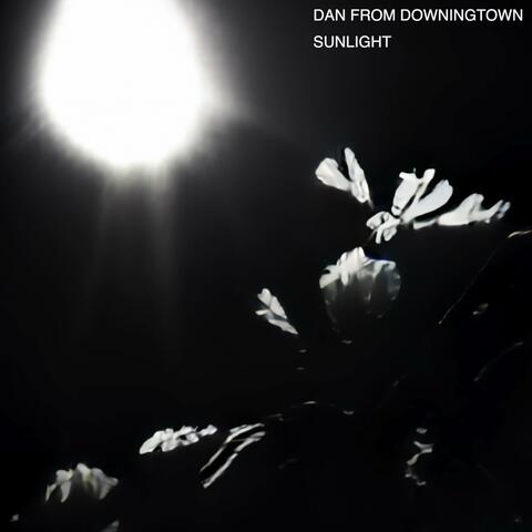 Sunlight (Single Version)