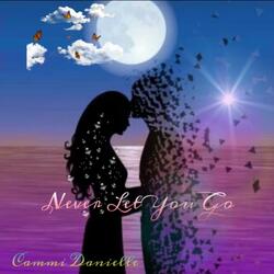 Never Let You Go