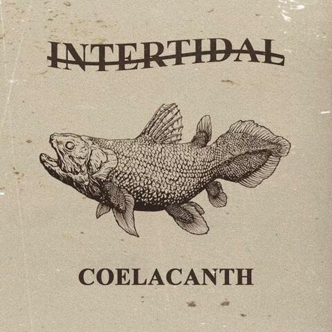 Coelacanth