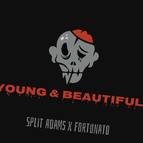 Young & Beautiful (feat. Fortunato)