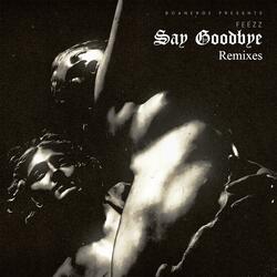 Say Goodbye (Joao Gomes Remix) (feat. Joao Gomes)
