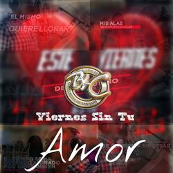 Viernes Sin Tu Amor