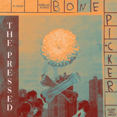 Bone Picker