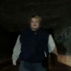 The Ballad of Bob White