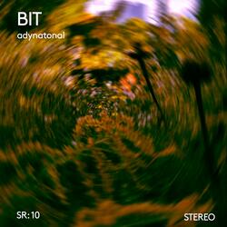 BIT