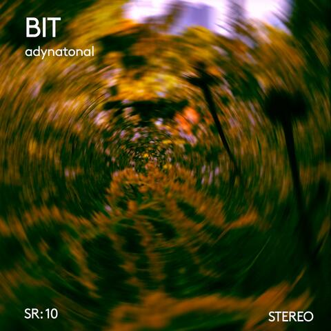 BIT