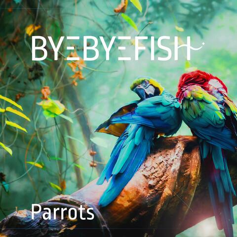 Parrots