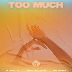 Too Much (feat. Chase Johanson & Dre Wave$)