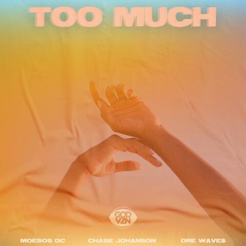 Too Much (feat. Chase Johanson & Dre Wave$)