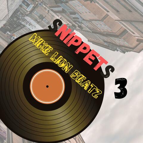 Snippets 3