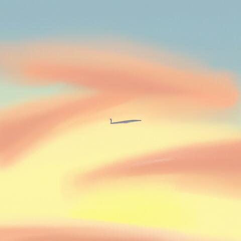 pilot