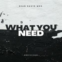 What You Need