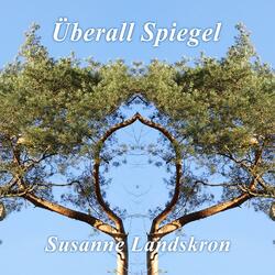Überall Spiegel