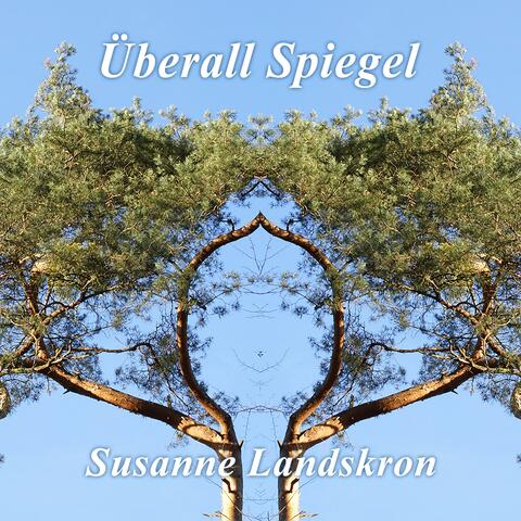 Überall Spiegel