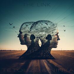 The link (feat. Ninka Nassif)