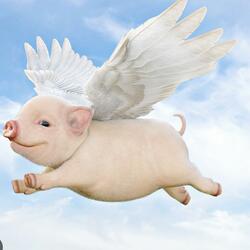 Pigs Fly (feat. Wilt)