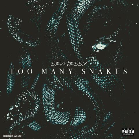 Too Many Snakes (feat. Lazie Locz)