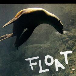 FLOAT