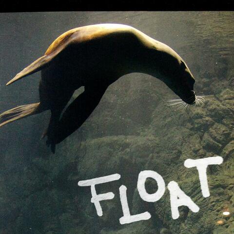 FLOAT