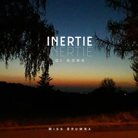 INERTIE Qi Gong