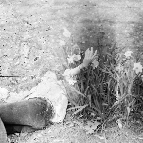 Falling Flowers