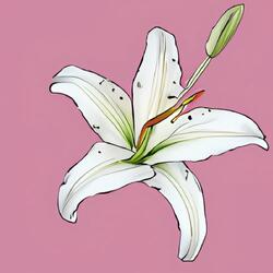 I Have a Mother There