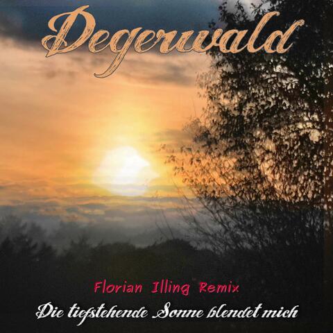 Die Tiefstehende Sonne Blendet Mich (Florian Illing Remix Version)