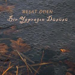 Bir Yaprağın Düşüşü
