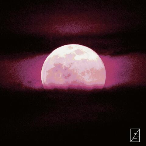 NOCTURNE / PRICELESS