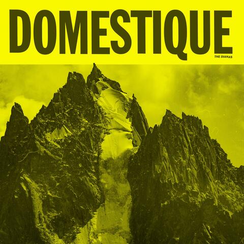 Domestique