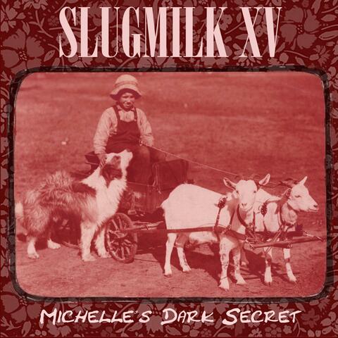 Volume XV: Michelle's Dark Secret