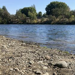 Scene On The Riverside