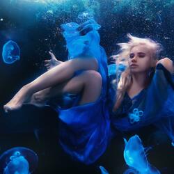 Peaceful Paths in the Pine Forest