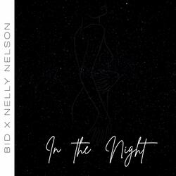 In the night (feat. Nelly Nelson)