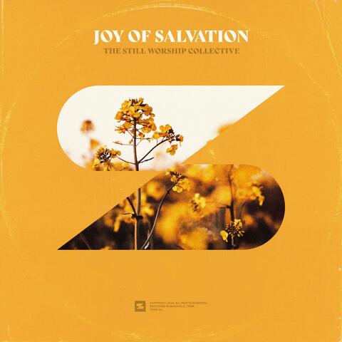 Joy of Salvation