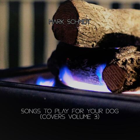 Covers Volume 3 (Songs to Play For Your Dog)