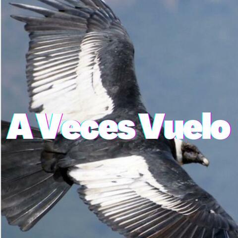 A Veces Vuelo