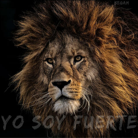 Yo soy fuerte