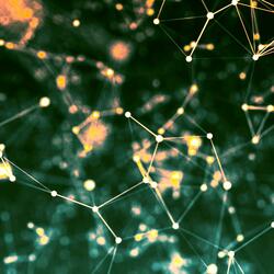 Distant Singal (30m)