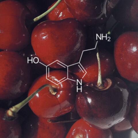 The Ballad of Serotonin