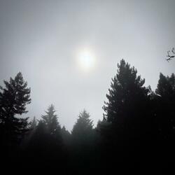 COLD (an ending)