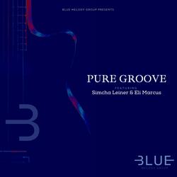 Pure Groove (feat. Simcha Leiner & Eli Marcus)