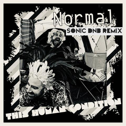 Normal (feat. Jamie Jamal) [Sonic DnB Remix]