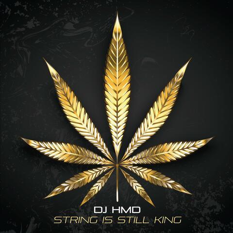 String is Still King (feat. Manjit Pappu & BattleKATT) [Radio Edit]