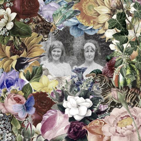 Stroll Down Martin's Farm