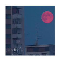 Moonlight Drive