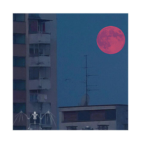 Moonlight Drive