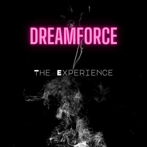 The Experience